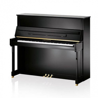 Акустическое пианино C.Bechstein A 124 Imposant